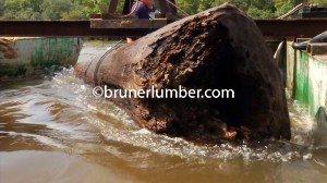 Log in water