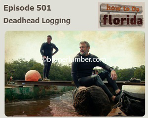 TV Image, How to do Florida, Eposide 501, Deadhead Logging